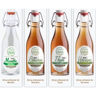 SIROPS ARTISANAUX plantes 25CL