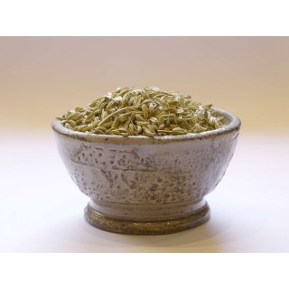 FENOUIL GRAINS BIO. 60g