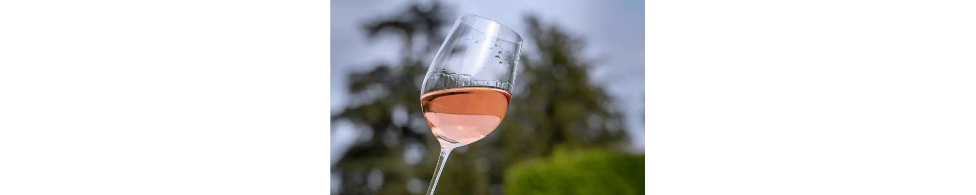 vin rosé